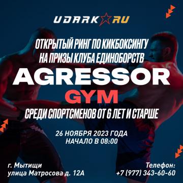 Открытый ринг по кикбоксингу на призы клуба "AGRESSOR GYM"
