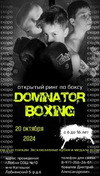 Dominator boxing 1