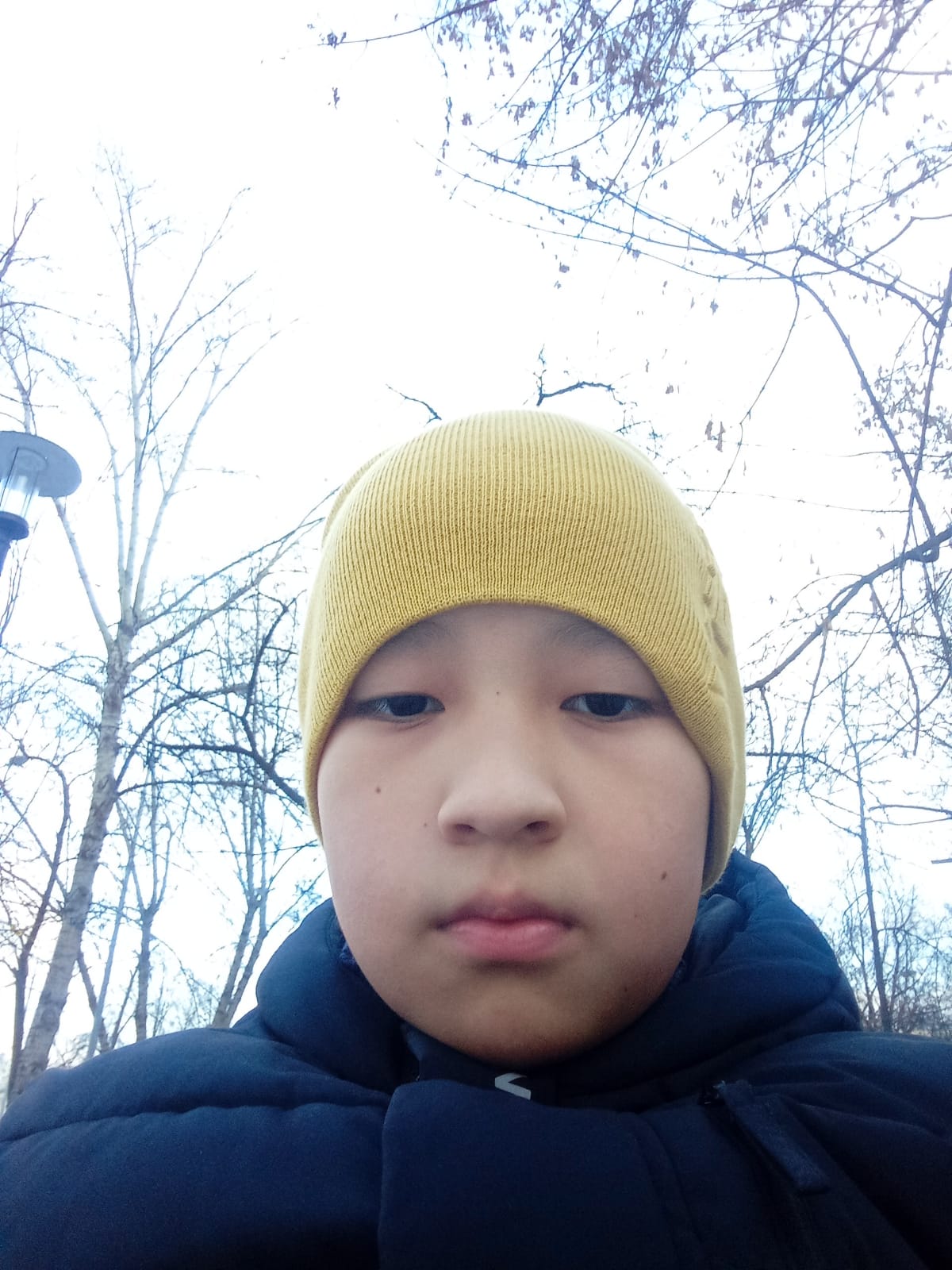 udarka.ru