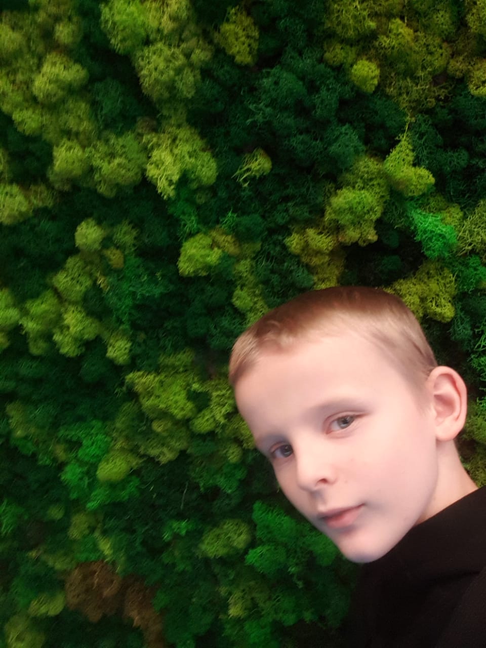 udarka.ru