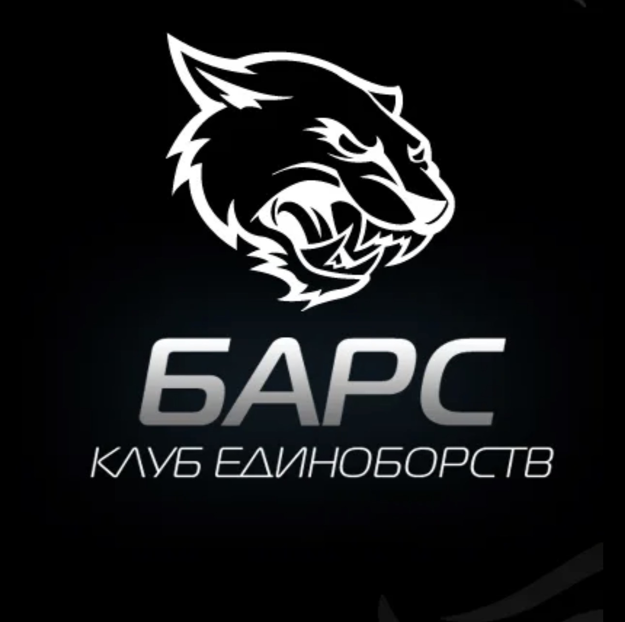 udarka.ru
